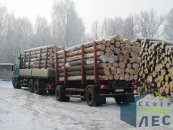 Транспортировка леса для производства оцилиндрованного бревна